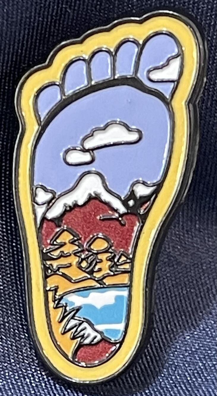 NWOT Multicolor Footprint Lapel Pin Brooch Enamel Yellow Purple Nature Show Hike